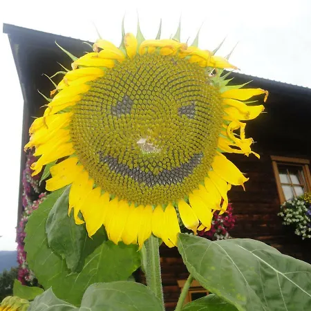 Schonderhof *
